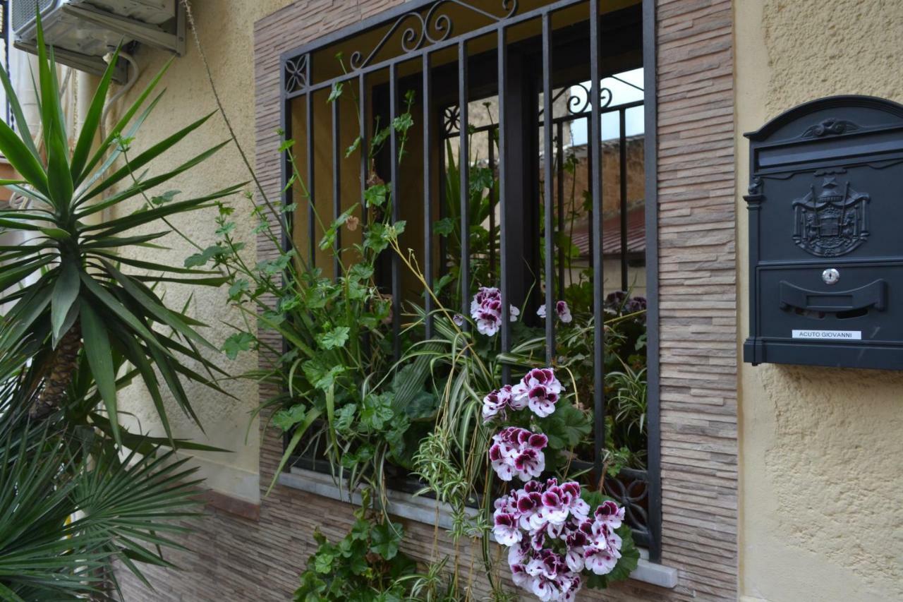 B&B Jolly House Bolognetta Extérieur photo